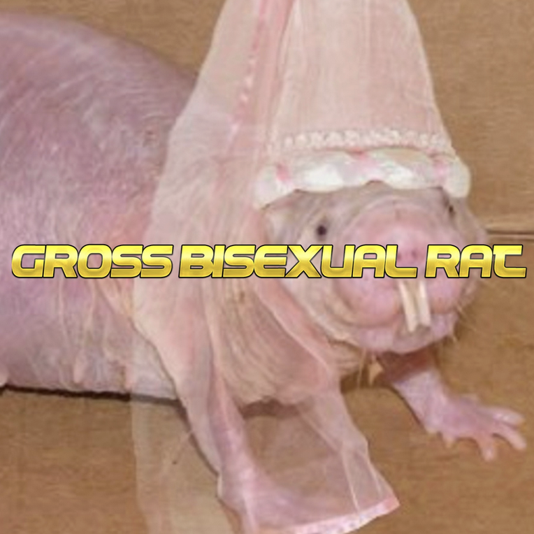 Gross Bisexual Rat